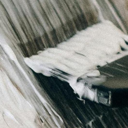 The Gift of Great Hair:  Xmas 2025